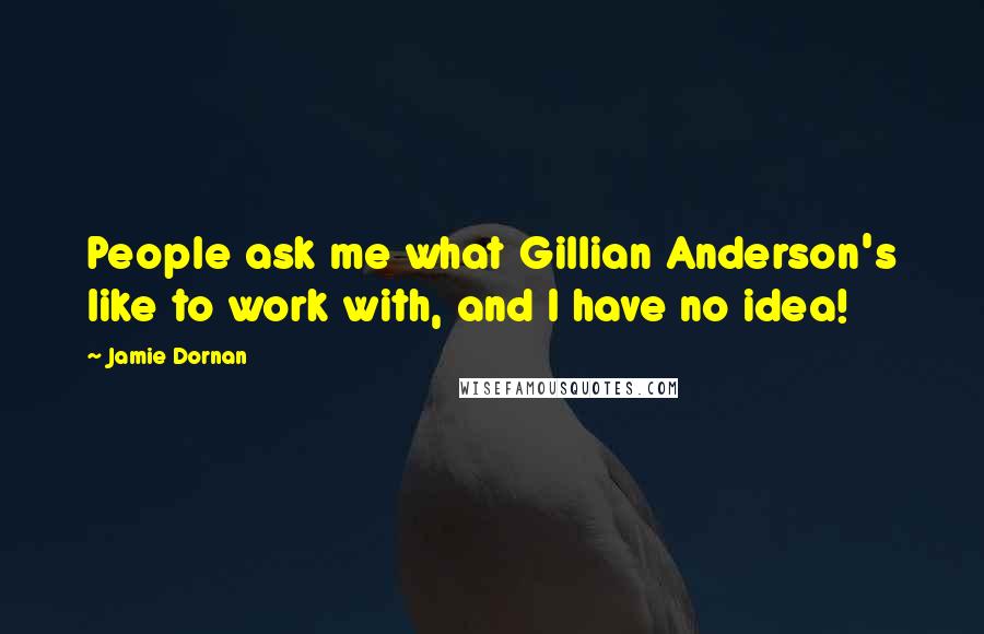 Jamie Dornan Quotes: People ask me what Gillian Anderson's like to work with, and I have no idea!