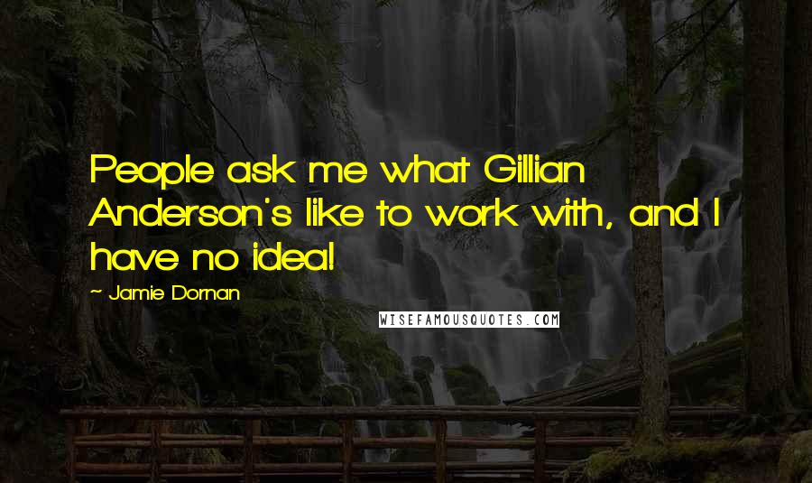 Jamie Dornan Quotes: People ask me what Gillian Anderson's like to work with, and I have no idea!