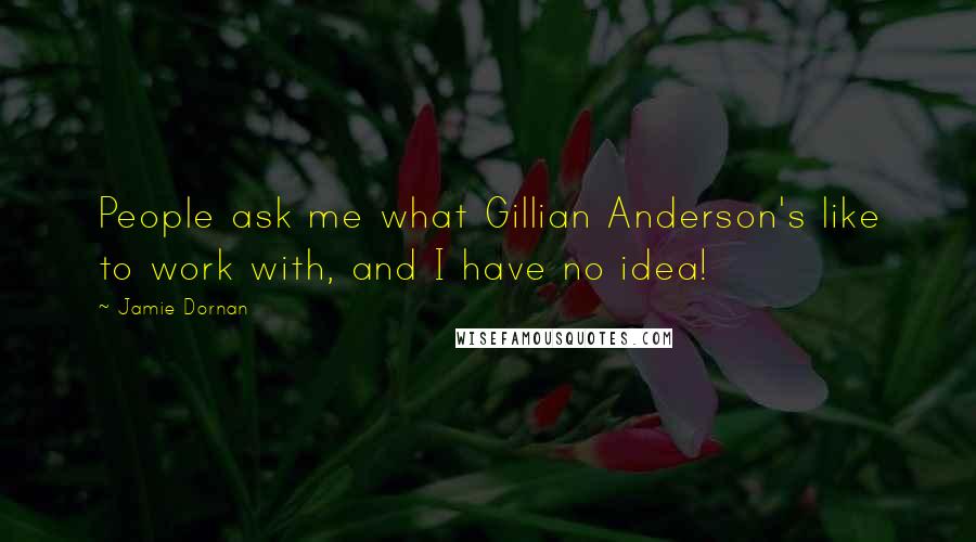 Jamie Dornan Quotes: People ask me what Gillian Anderson's like to work with, and I have no idea!