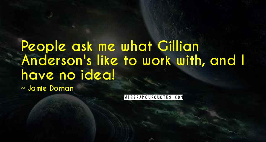 Jamie Dornan Quotes: People ask me what Gillian Anderson's like to work with, and I have no idea!