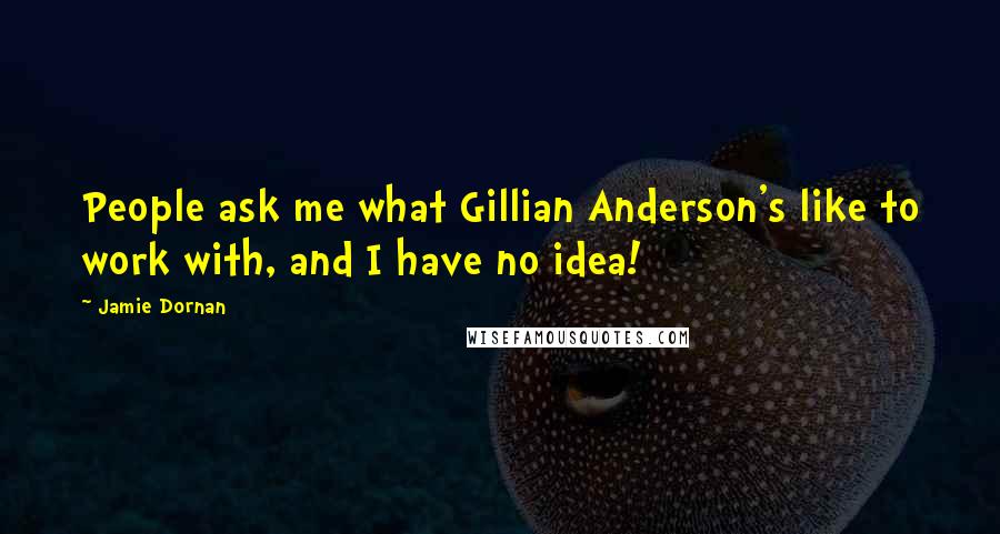 Jamie Dornan Quotes: People ask me what Gillian Anderson's like to work with, and I have no idea!