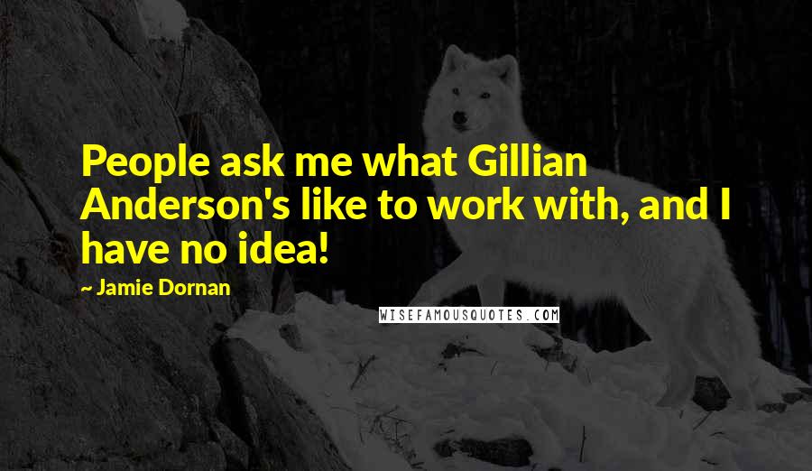 Jamie Dornan Quotes: People ask me what Gillian Anderson's like to work with, and I have no idea!