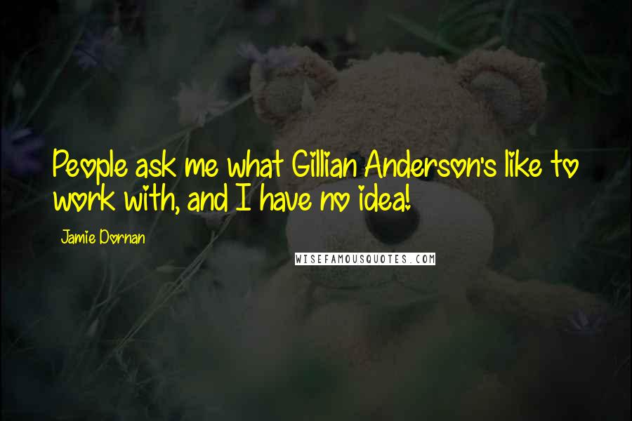 Jamie Dornan Quotes: People ask me what Gillian Anderson's like to work with, and I have no idea!