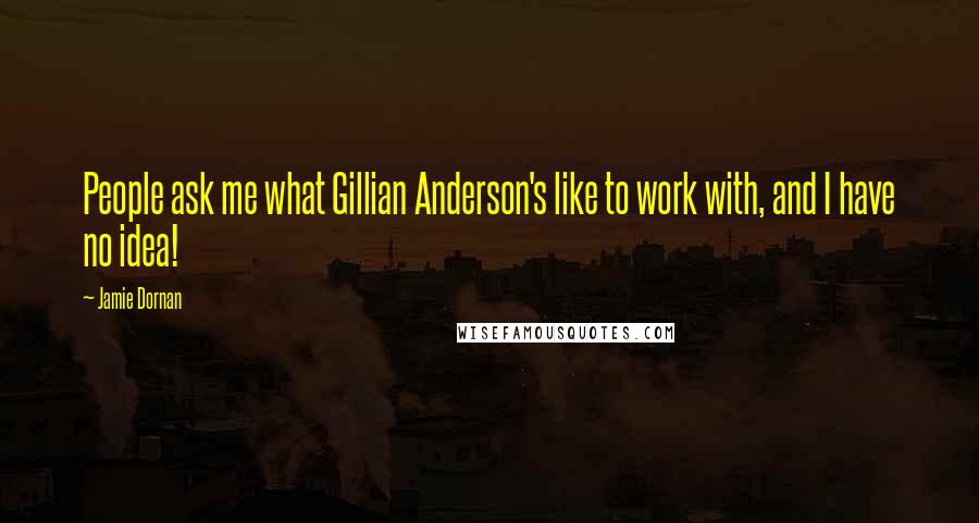 Jamie Dornan Quotes: People ask me what Gillian Anderson's like to work with, and I have no idea!