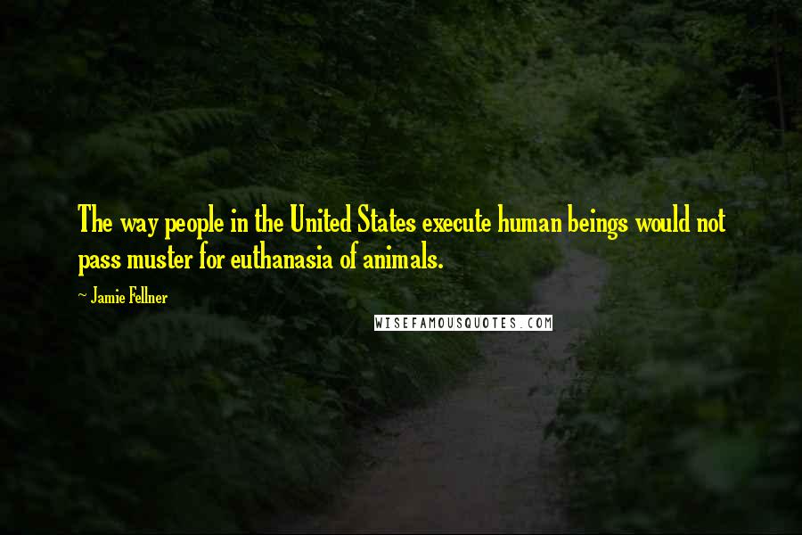 Jamie Fellner Quotes: The way people in the United States execute human beings would not pass muster for euthanasia of animals.