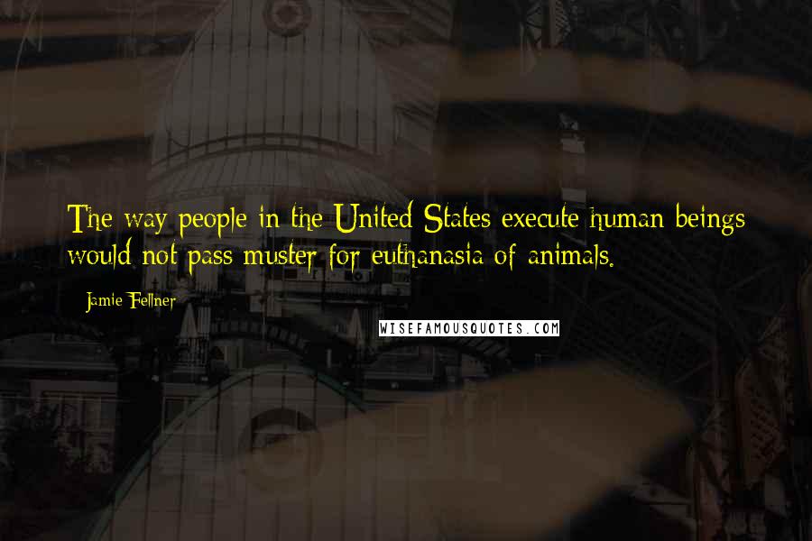 Jamie Fellner Quotes: The way people in the United States execute human beings would not pass muster for euthanasia of animals.