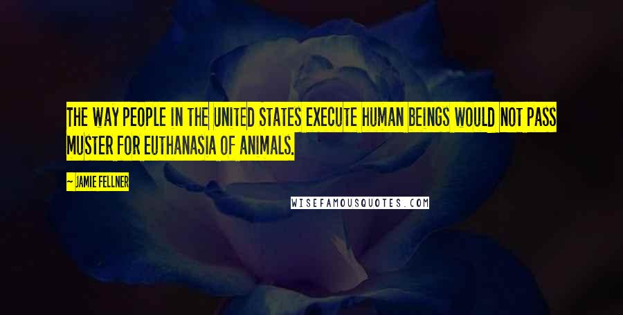 Jamie Fellner Quotes: The way people in the United States execute human beings would not pass muster for euthanasia of animals.