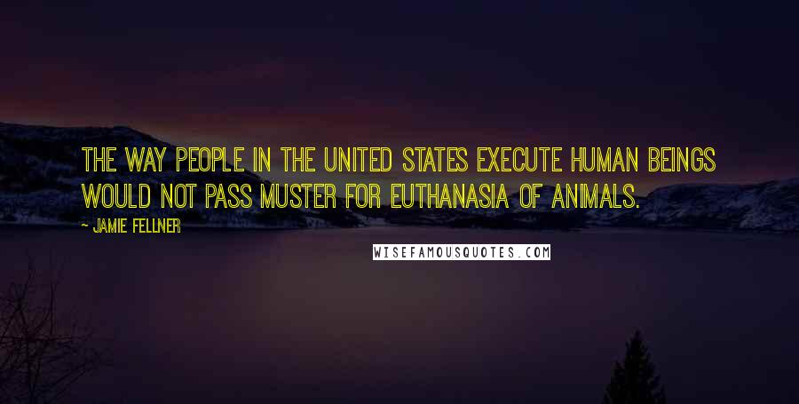 Jamie Fellner Quotes: The way people in the United States execute human beings would not pass muster for euthanasia of animals.