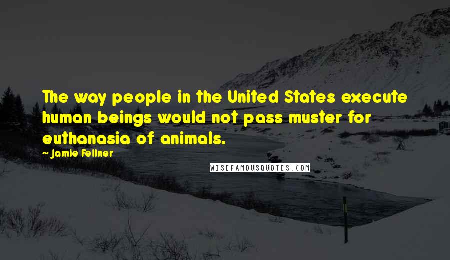 Jamie Fellner Quotes: The way people in the United States execute human beings would not pass muster for euthanasia of animals.