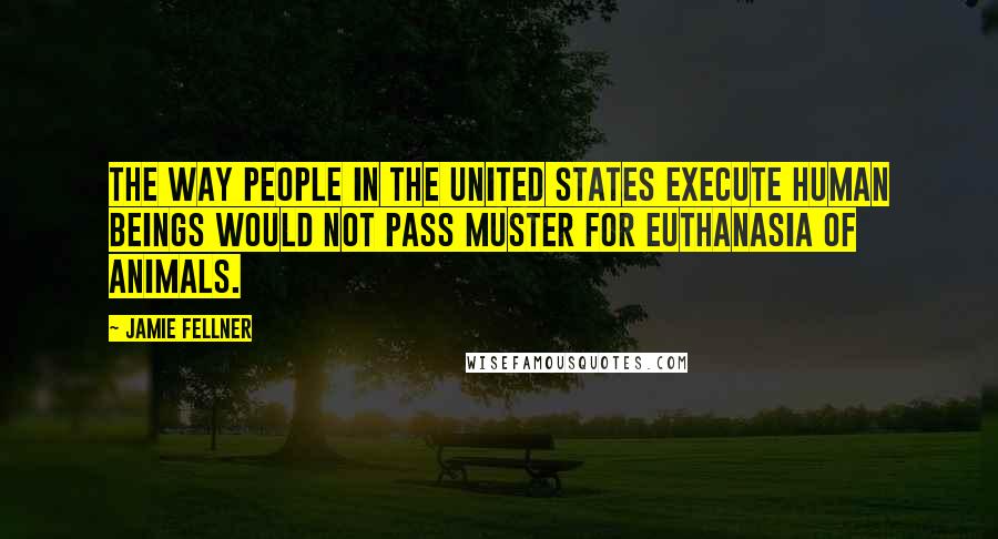 Jamie Fellner Quotes: The way people in the United States execute human beings would not pass muster for euthanasia of animals.