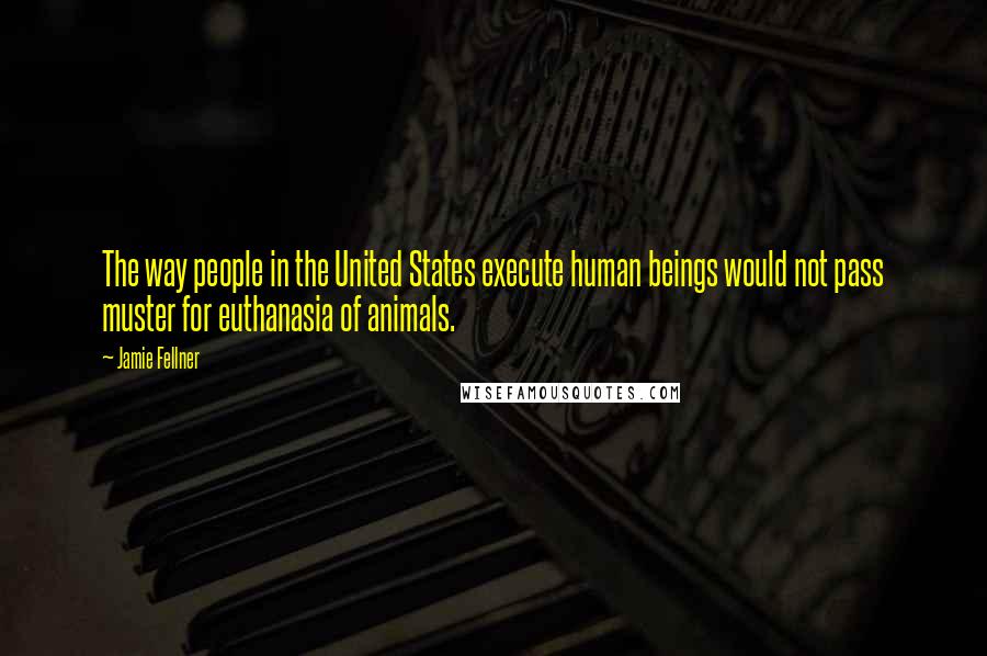 Jamie Fellner Quotes: The way people in the United States execute human beings would not pass muster for euthanasia of animals.