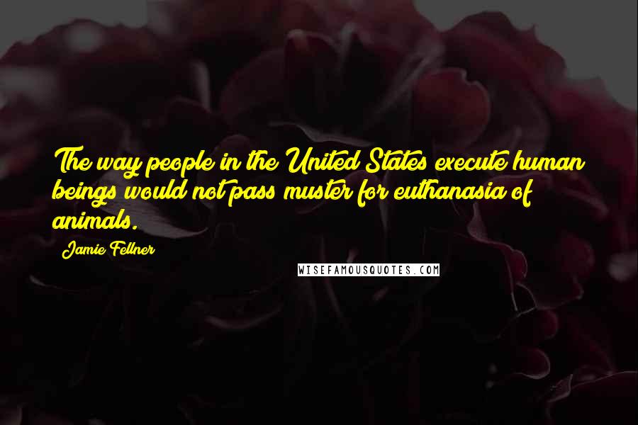 Jamie Fellner Quotes: The way people in the United States execute human beings would not pass muster for euthanasia of animals.