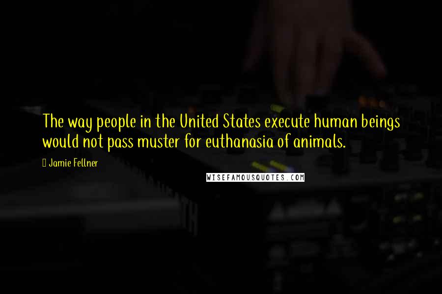Jamie Fellner Quotes: The way people in the United States execute human beings would not pass muster for euthanasia of animals.