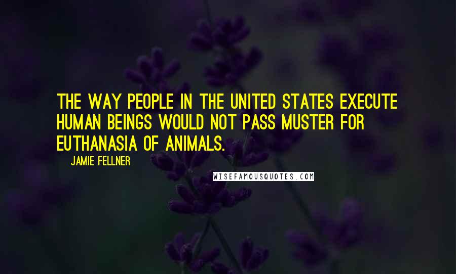 Jamie Fellner Quotes: The way people in the United States execute human beings would not pass muster for euthanasia of animals.