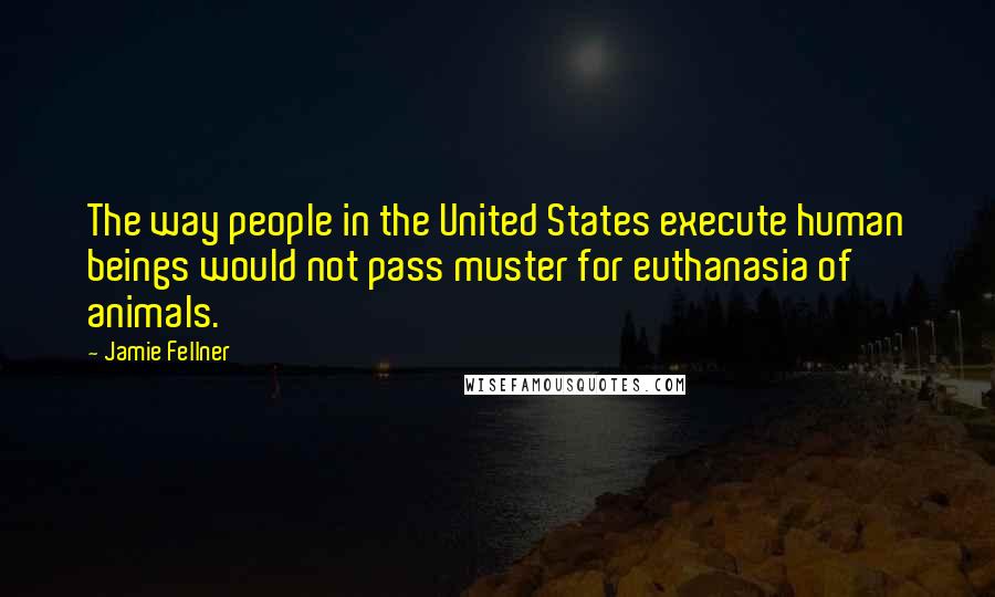 Jamie Fellner Quotes: The way people in the United States execute human beings would not pass muster for euthanasia of animals.