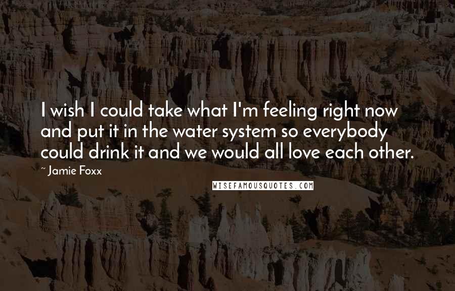 Jamie Foxx Quotes: I wish I could take what I'm feeling right now and put it in the water system so everybody could drink it and we would all love each other.