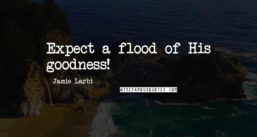 Jamie Larbi Quotes: Expect a flood of His goodness!