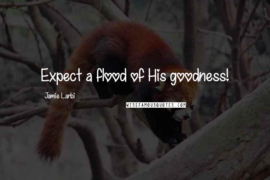 Jamie Larbi Quotes: Expect a flood of His goodness!