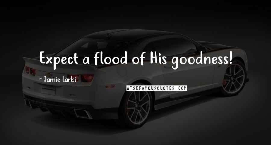 Jamie Larbi Quotes: Expect a flood of His goodness!