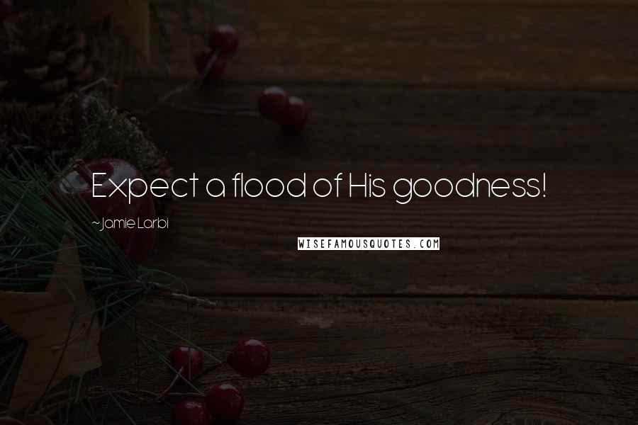 Jamie Larbi Quotes: Expect a flood of His goodness!