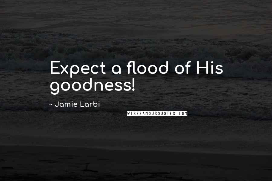 Jamie Larbi Quotes: Expect a flood of His goodness!