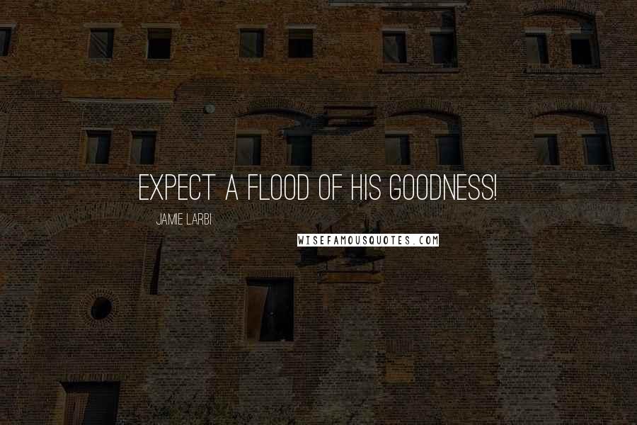 Jamie Larbi Quotes: Expect a flood of His goodness!