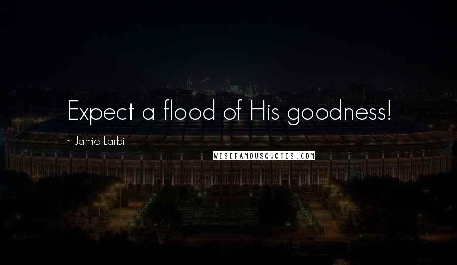 Jamie Larbi Quotes: Expect a flood of His goodness!
