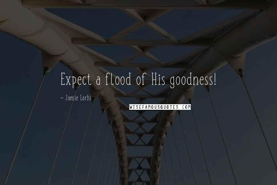 Jamie Larbi Quotes: Expect a flood of His goodness!