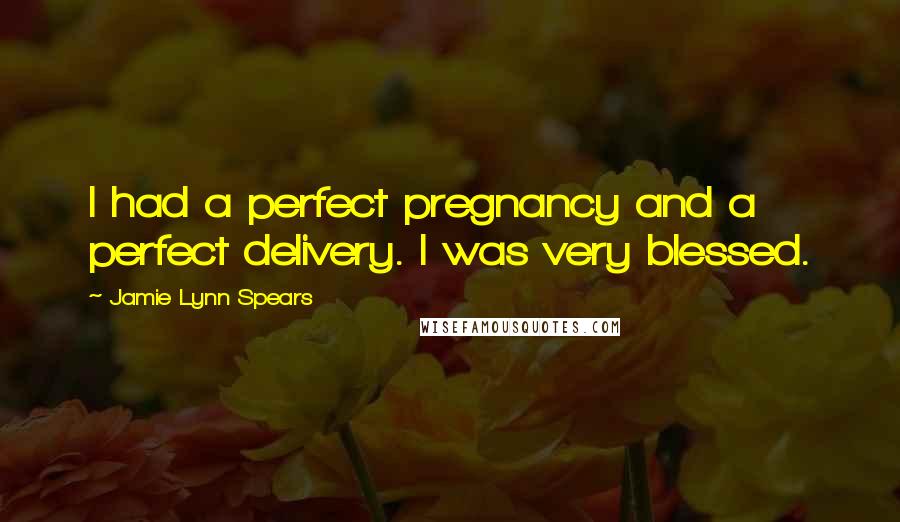 Jamie Lynn Spears Quotes: I had a perfect pregnancy and a perfect delivery. I was very blessed.