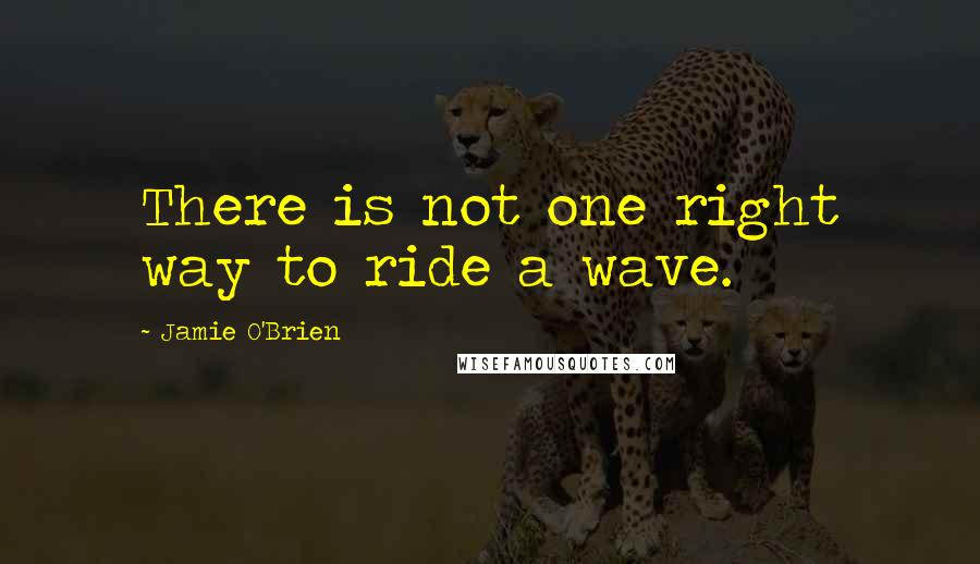 Jamie O'Brien Quotes: There is not one right way to ride a wave.