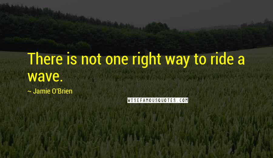 Jamie O'Brien Quotes: There is not one right way to ride a wave.
