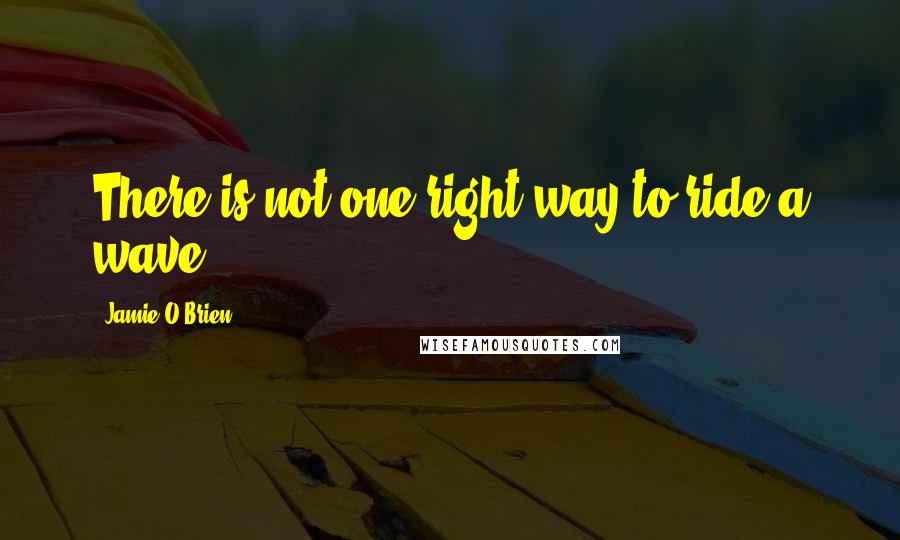 Jamie O'Brien Quotes: There is not one right way to ride a wave.