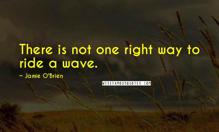 Jamie O'Brien Quotes: There is not one right way to ride a wave.