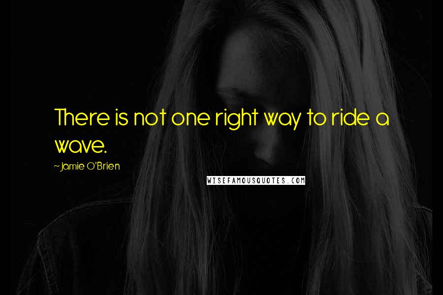 Jamie O'Brien Quotes: There is not one right way to ride a wave.