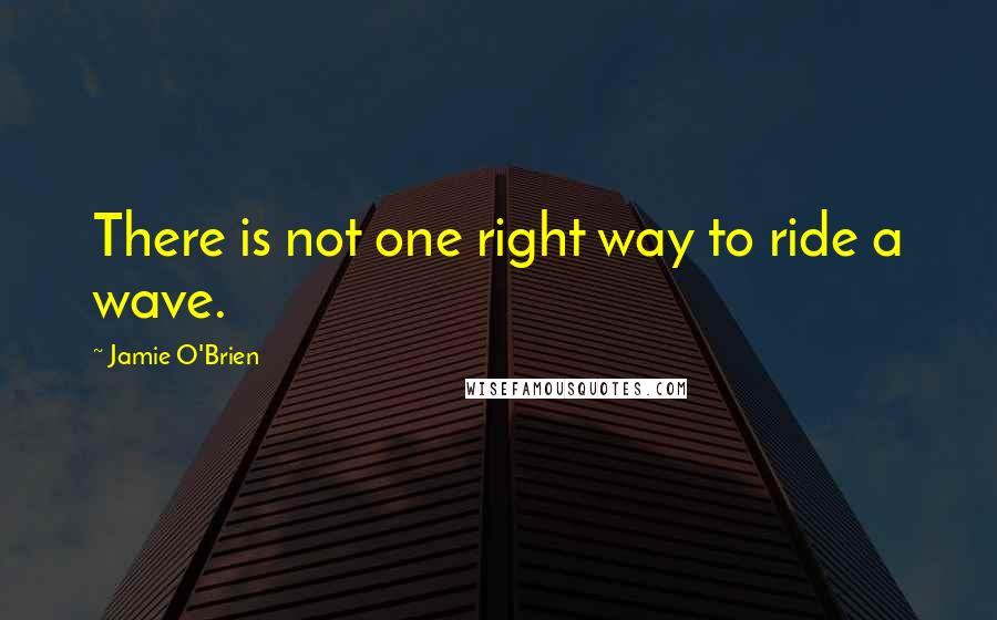 Jamie O'Brien Quotes: There is not one right way to ride a wave.