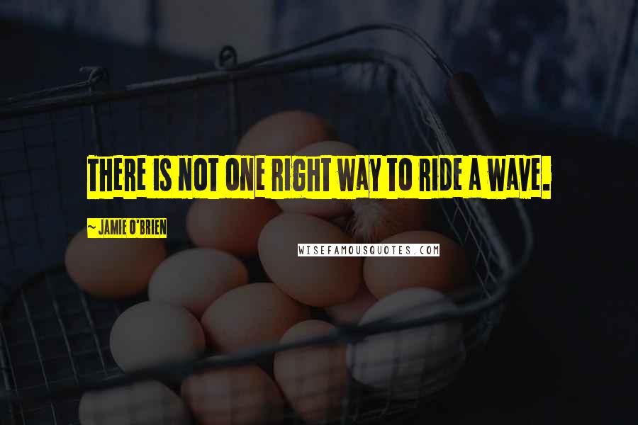 Jamie O'Brien Quotes: There is not one right way to ride a wave.