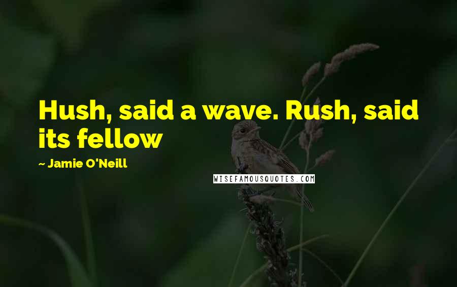 Jamie O'Neill Quotes: Hush, said a wave. Rush, said its fellow