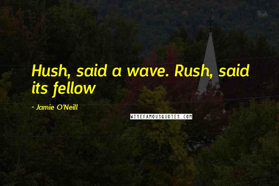 Jamie O'Neill Quotes: Hush, said a wave. Rush, said its fellow