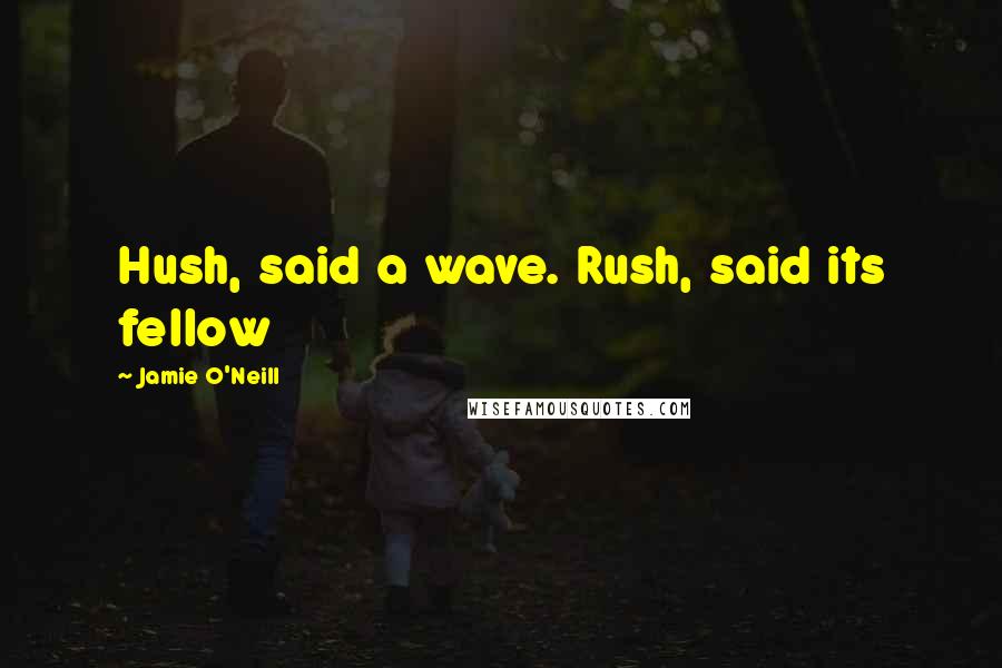 Jamie O'Neill Quotes: Hush, said a wave. Rush, said its fellow