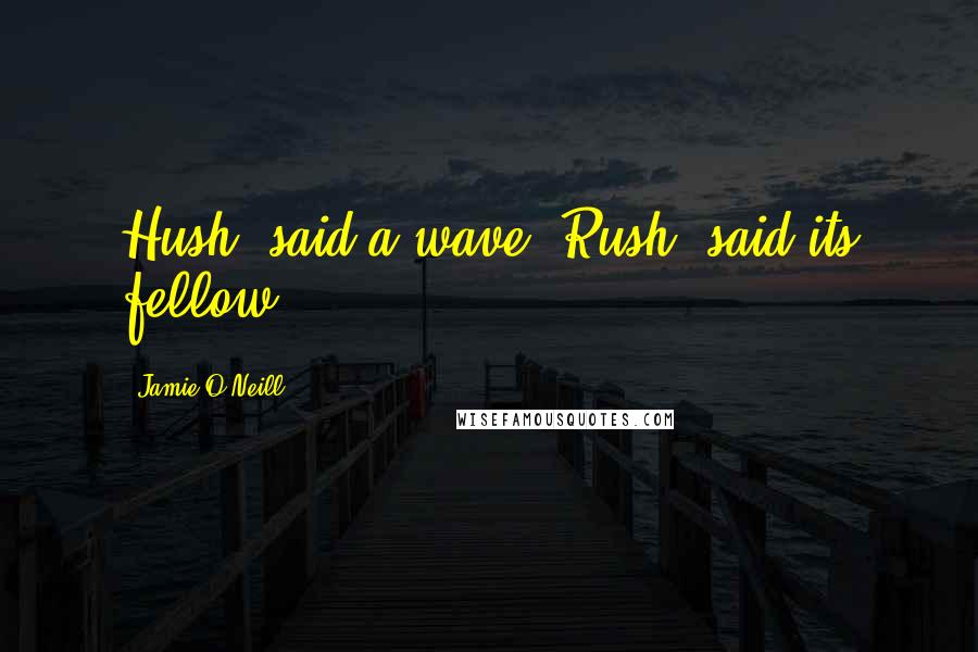 Jamie O'Neill Quotes: Hush, said a wave. Rush, said its fellow