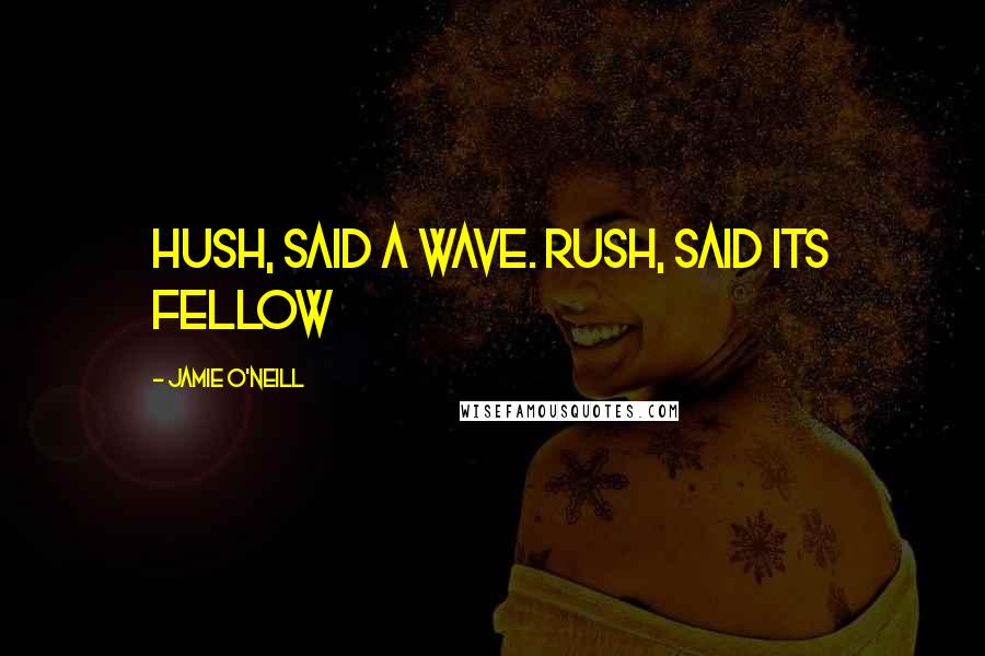 Jamie O'Neill Quotes: Hush, said a wave. Rush, said its fellow