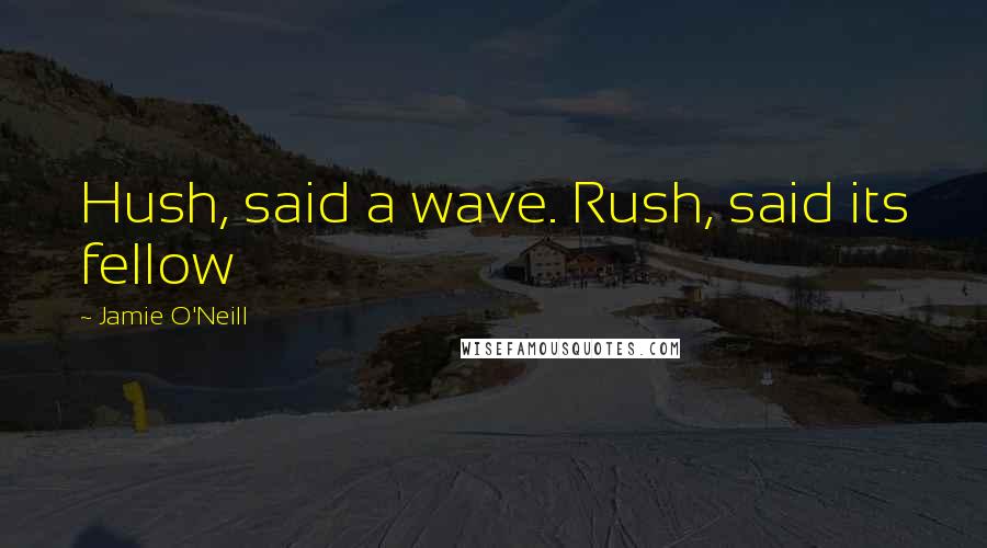 Jamie O'Neill Quotes: Hush, said a wave. Rush, said its fellow