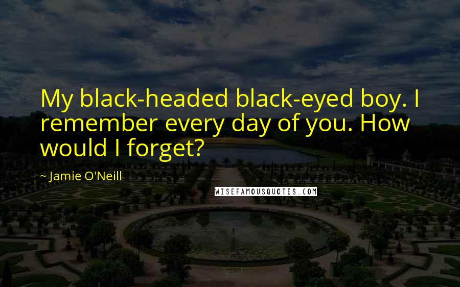 Jamie O'Neill Quotes: My black-headed black-eyed boy. I remember every day of you. How would I forget?