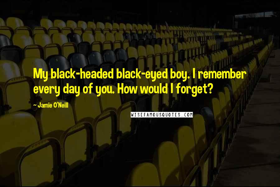 Jamie O'Neill Quotes: My black-headed black-eyed boy. I remember every day of you. How would I forget?