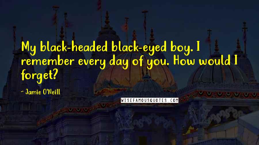 Jamie O'Neill Quotes: My black-headed black-eyed boy. I remember every day of you. How would I forget?