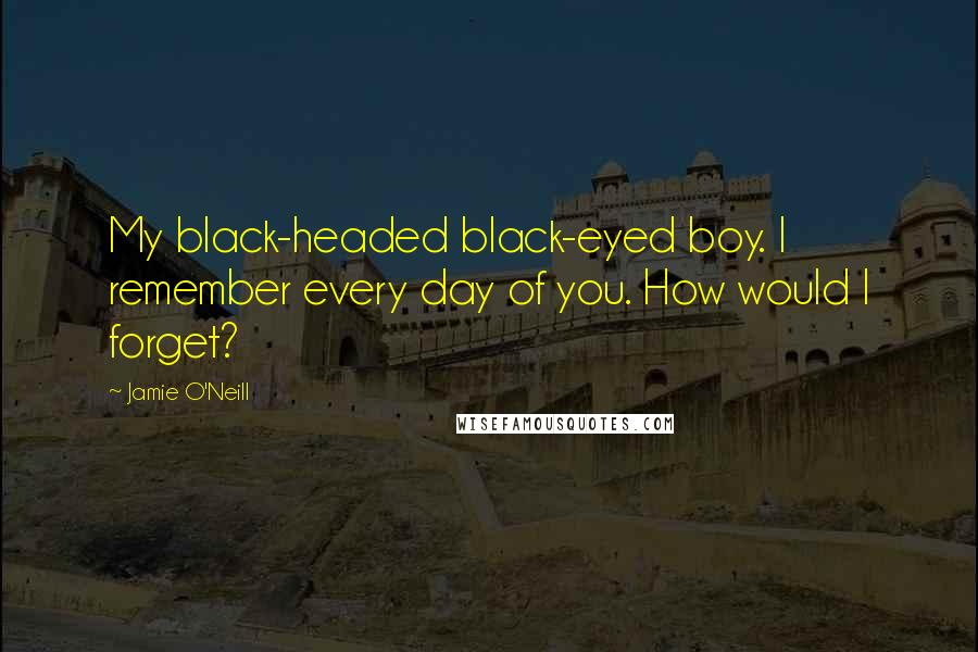 Jamie O'Neill Quotes: My black-headed black-eyed boy. I remember every day of you. How would I forget?