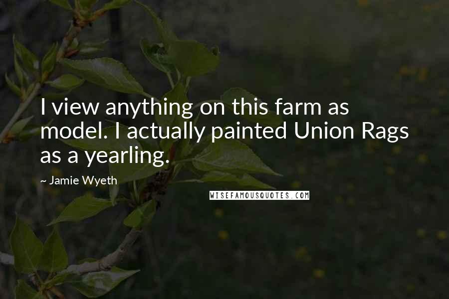 Jamie Wyeth Quotes: I view anything on this farm as model. I actually painted Union Rags as a yearling.