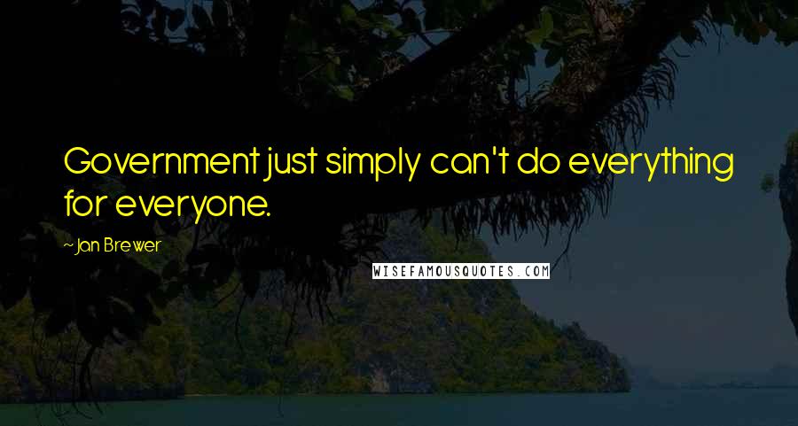 Jan Brewer Quotes: Government just simply can't do everything for everyone.