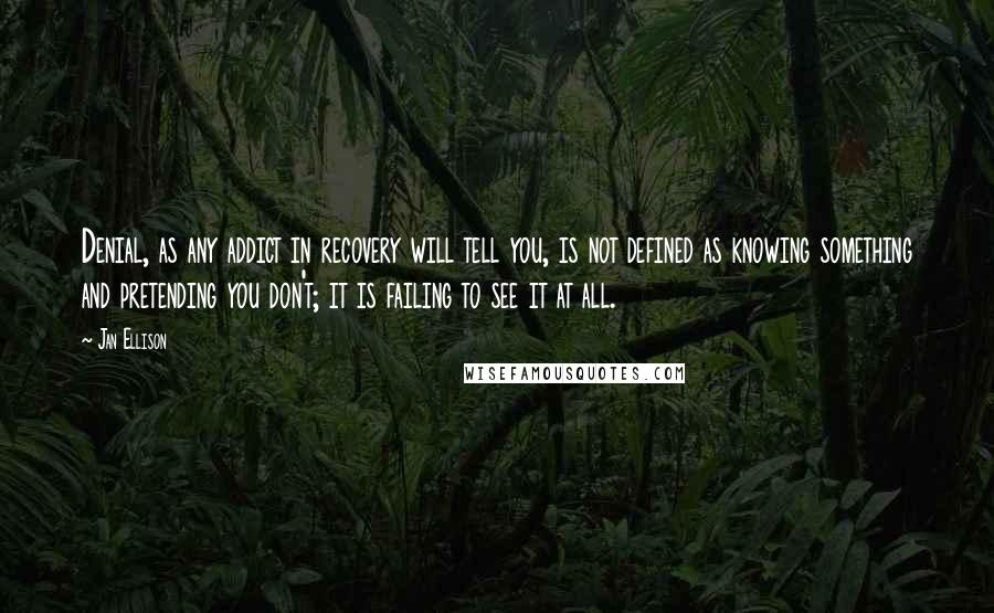 Jan Ellison Quotes: Denial, as any addict in recovery will tell you, is not defined as knowing something and pretending you don't; it is failing to see it at all.