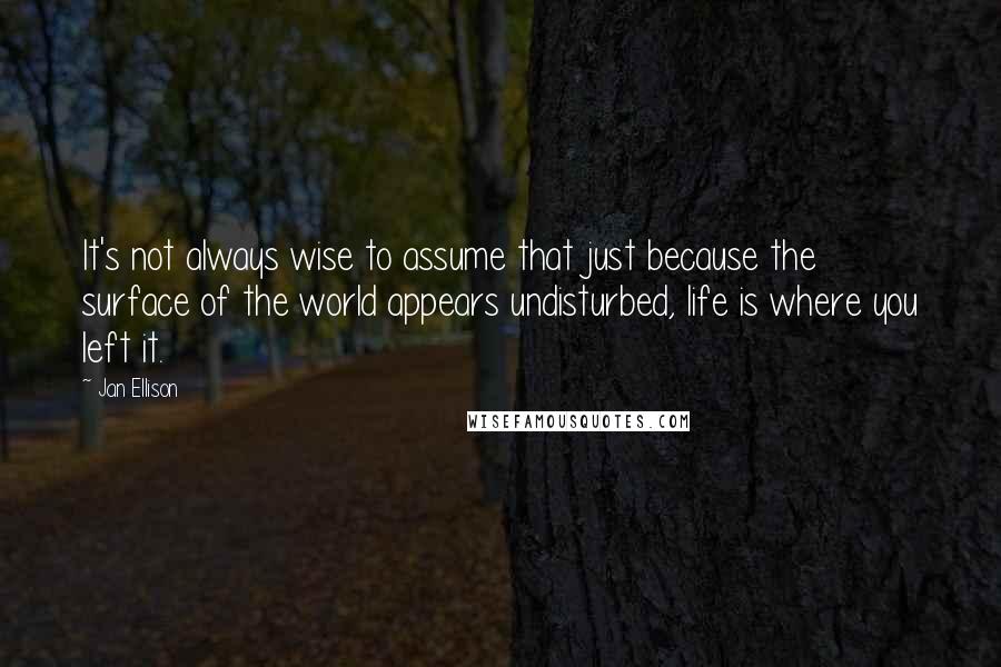 Jan Ellison Quotes: It's not always wise to assume that just because the surface of the world appears undisturbed, life is where you left it.